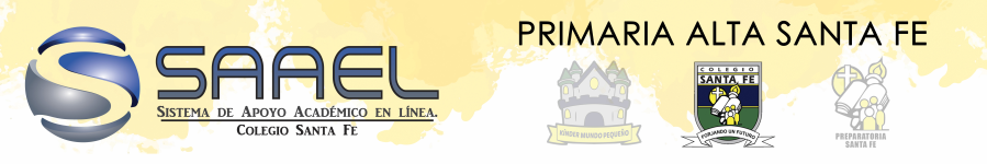 Logo of Saael Primaria 2